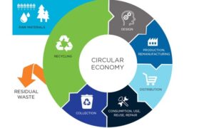 Circullar Economy 